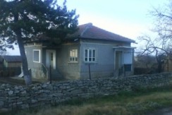 507c989_alex_stamboliski_2