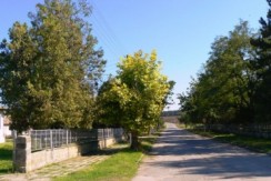 51c8c36_resized_entry