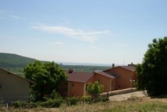 5359256_main_image_2