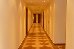 67e98e4_954_13