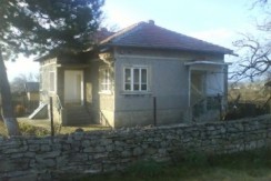 7a52f1b_alex_stamboljski_1