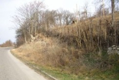7caf65b_resized_3