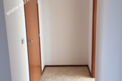 8039390_ap8