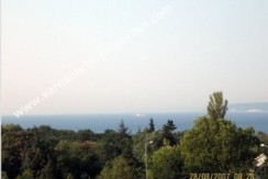 83516aa_resized_5