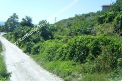 8781df6_4_balchik_for_sale_plot