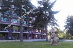 8eabb46_1