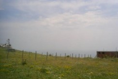 9e8d715_stefko_1