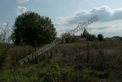 resized_HPIM0022