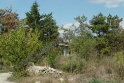 resized_HPIM0029