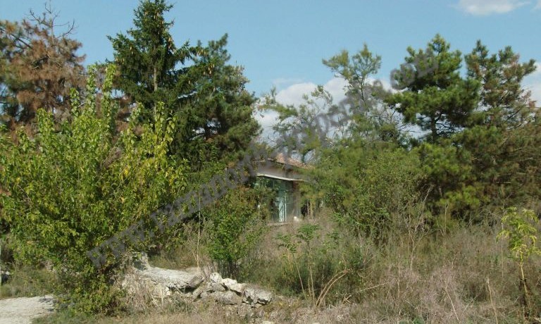 resized_HPIM0029