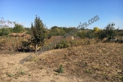 immobilier en bulgarie