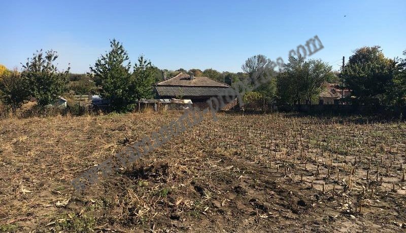 real estate in Bulgaria