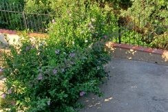 resized_haven-bg_52777376550_o