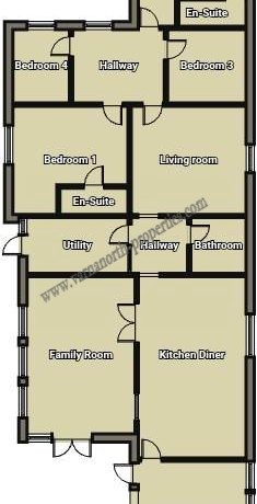 plan tsarichino