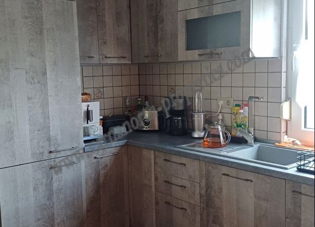 house 6