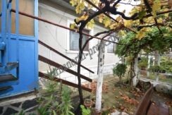 resized by 22% 24.12.2025 ã. 15:39: